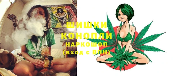 гашик Медвежьегорск