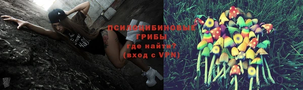 трава Медногорск