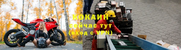 гидра Мегион